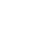 vgs_logo_w2